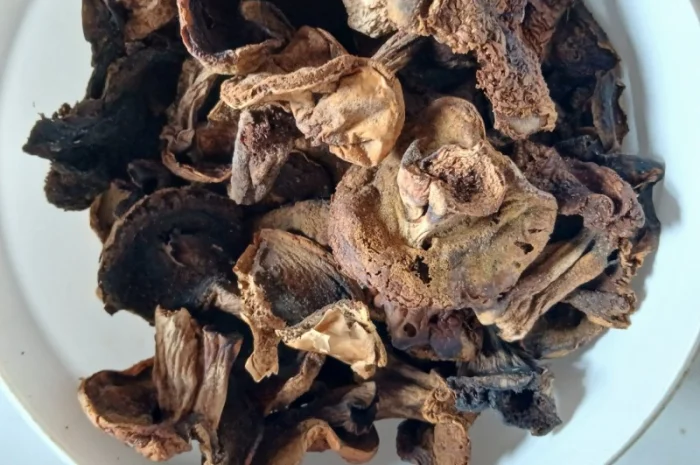 Продам сухі білі гриби жовті, сухі гриби польські- фото № 1