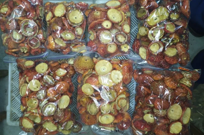 Мухомор Червоний сушений з акцією 10% на мелений- фото № 2