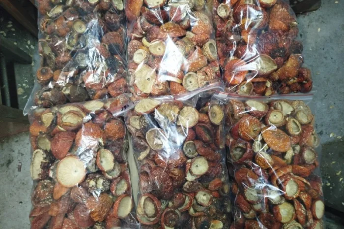 Продаж сушеного та молотого червоного мухомора- фото № 5