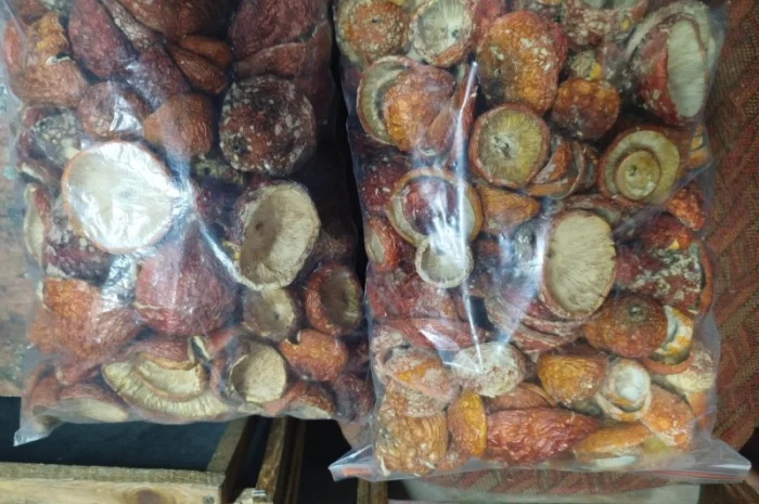 Продаж сушеного та молотого червоного мухомора- фото № 6