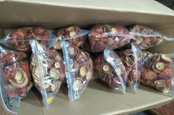 Продаж сушеного та молотого червоного мухомора- фото № 7