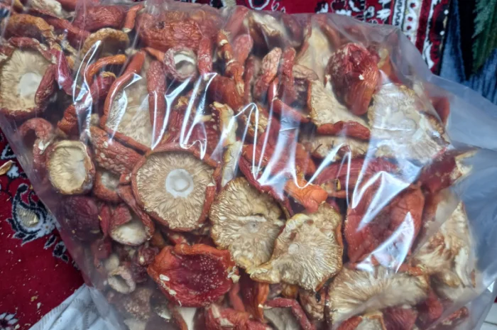 Продается шляпки мухомора урожай 2025, 1 кг первого сорта за 2000 рублей- фото № 1