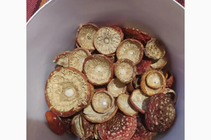 Мухомор червоний сушеный, 1 сорт- фото № 1