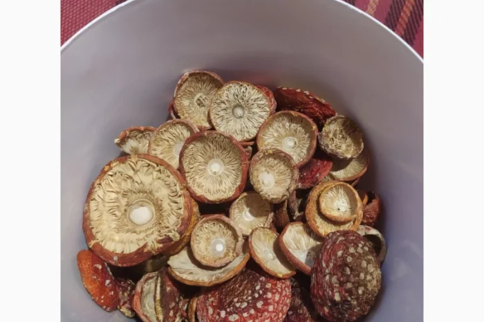 Мухомор червоний сушеный, 1 сорт- фото № 2