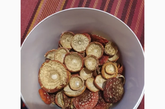 Мухомор червоний сушеный, 1 сорт- фото № 3