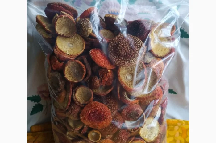 Мухомор червоний сушеный, 1 сорт- фото № 4