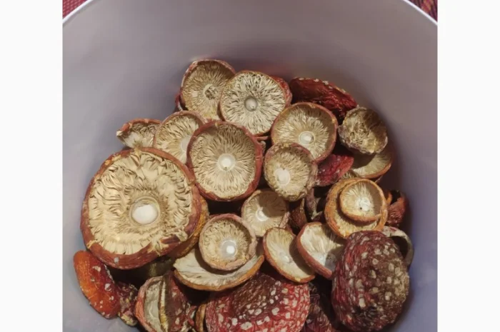 Мухомор червоний сушеный, 1 сорт- фото № 6