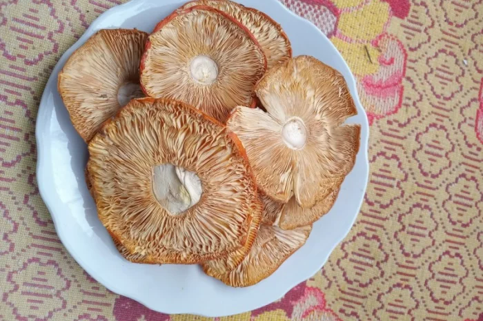 Мухомор сушений 1 сорту, шляпки розкриті- фото № 1