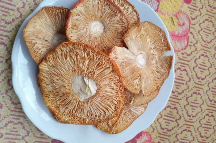 Мухомор сушений 1 сорту, шляпки розкриті- фото № 2