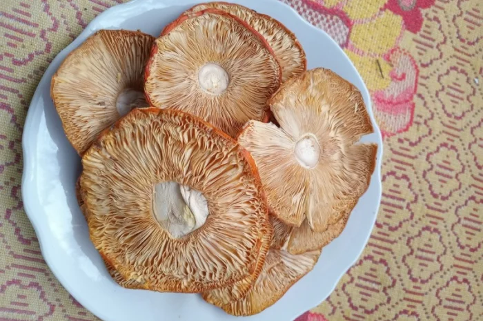 Мухомор сушений 1 сорту, шляпки розкриті- фото № 3