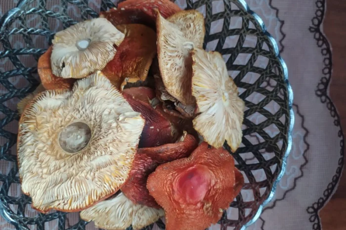 Червоний мухомор 1 сорт (шляпки)- фото № 1