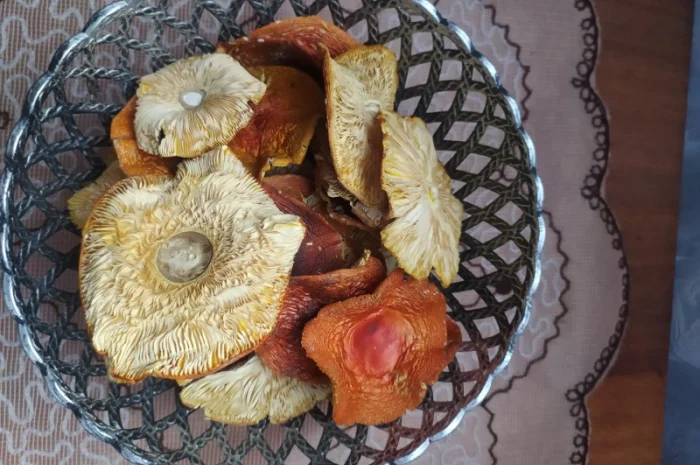 Червоний мухомор 1 сорт (шляпки)- фото № 3