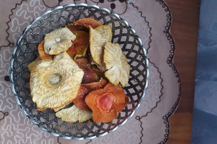 Червоний мухомор 1 сорт (шляпки)- фото № 4