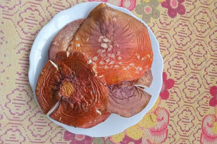 Продам шляпки червоного мухомора- фото № 1