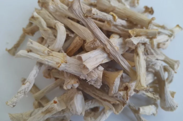 Ніжки пантерного мухомора- фото № 1