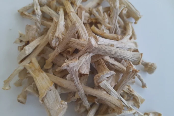 Ніжки пантерного мухомора- фото № 2