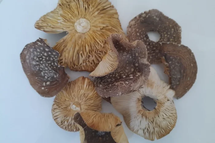 Пантерний мухомор другого сорту- фото № 3