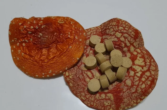 Червоний мухомор в гранулах- фото № 1