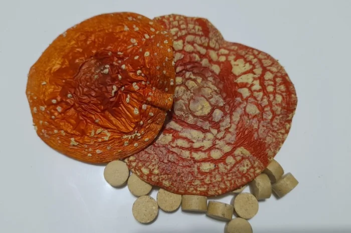 Червоний мухомор в гранулах- фото № 2