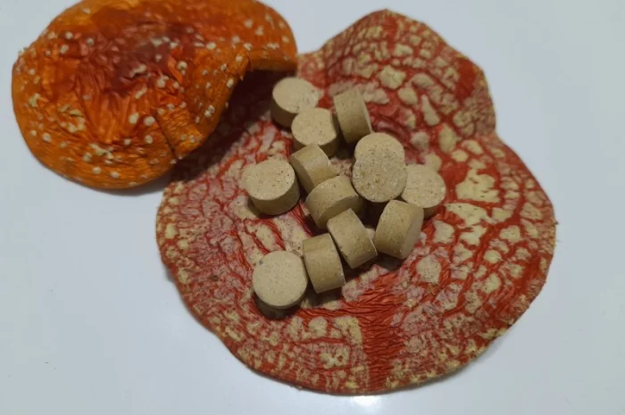 Червоний мухомор в гранулах- фото № 3