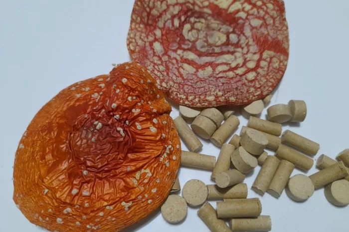 Червоний мухомор в гранулах- фото № 4