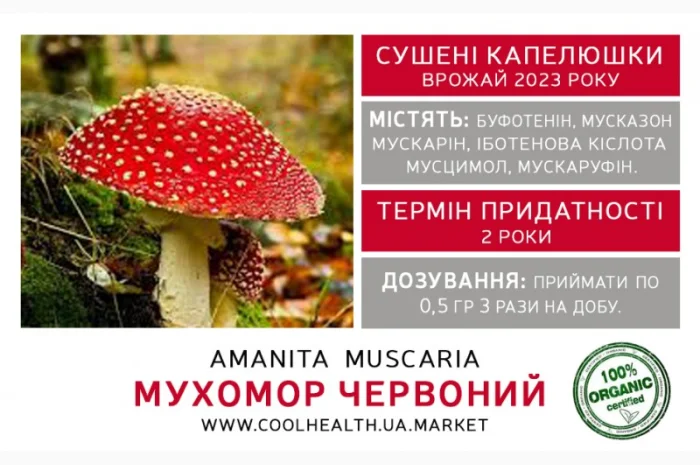 Мухомор Красный Сушеный- фото № 2