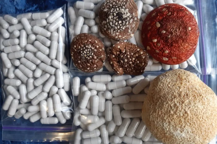 Мухомор в капсулах на продажу- фото № 1