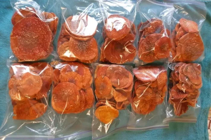 Продажа сушеного мухомора 1 сорта- фото № 3