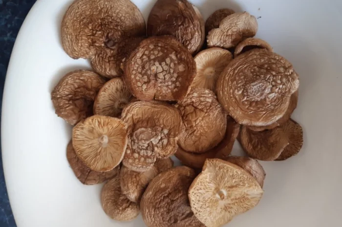 Продаю пантерний мухомор 2025 року- фото № 2