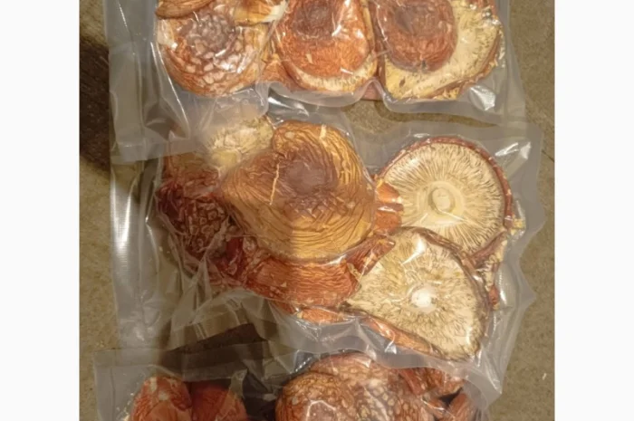 Сушені червоні мухомори- фото № 1