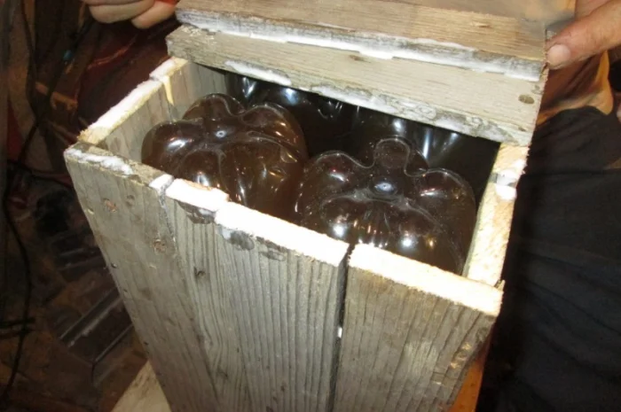 Настойка мухомора ферментированного- фото № 1