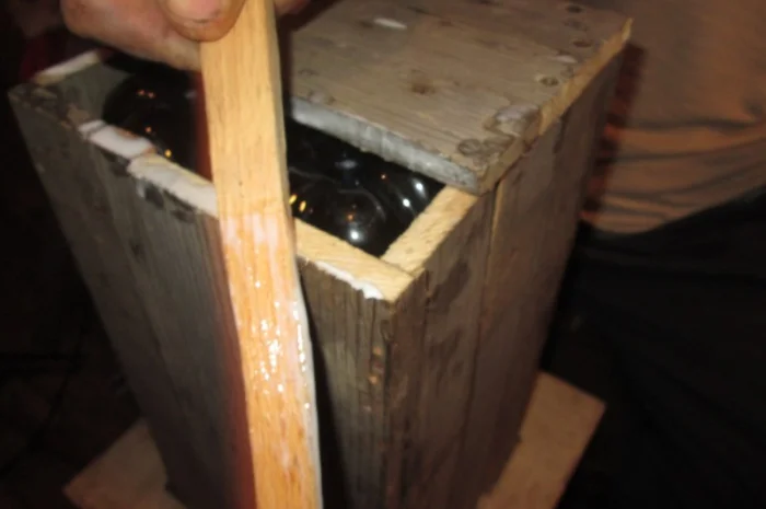 Настойка мухомора ферментированного- фото № 2