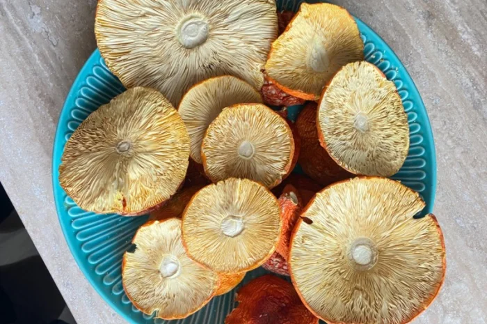 Мухомор червоний сушений- фото № 3