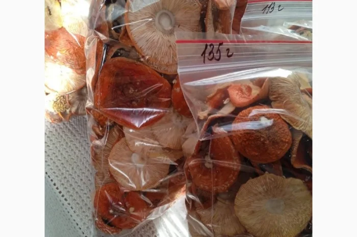 Шляпки червоного мухомора на продаж- фото № 1