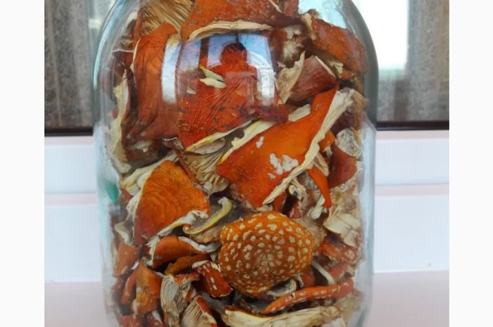 Мухомор сушеный красный 6 грн за грамм- фото № 8