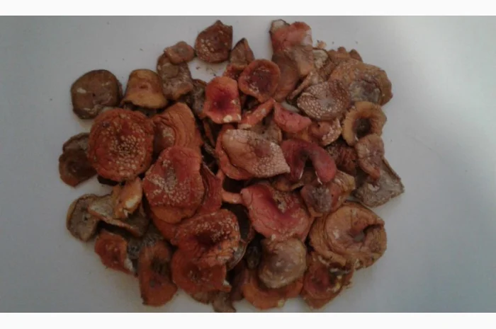 Мухомор червоний сушений вищого сорту на продаж- фото № 2