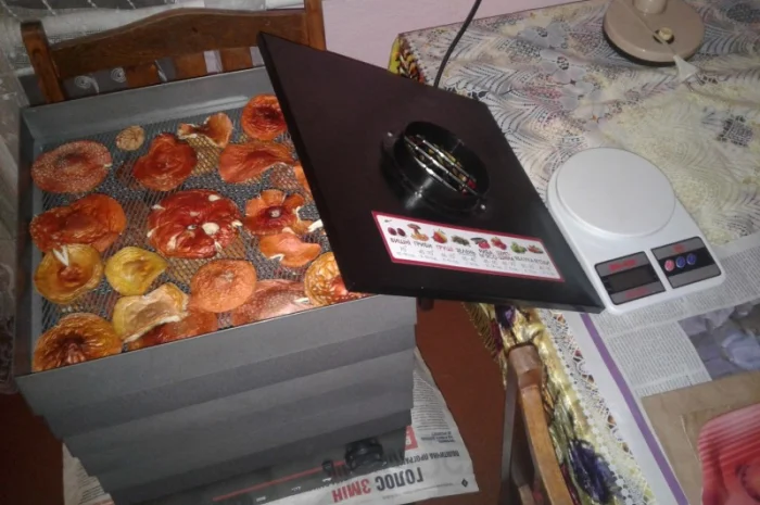 Мухомор Красный! 2023год Только Целые Сушеные Шляпки- фото № 3