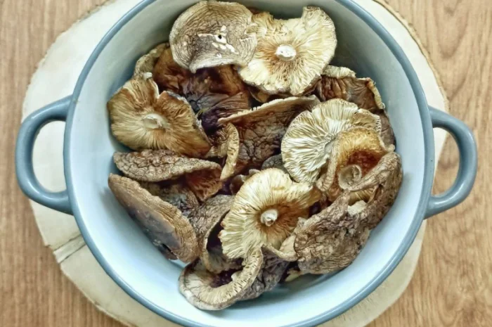 Пантера 2025 - сушені капелюшки пантерного мухомора- фото № 1