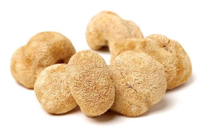 Ежовик (Їжовик ежевик) гребінчатий гребенчатый цілий гриб гериций- фото № 4