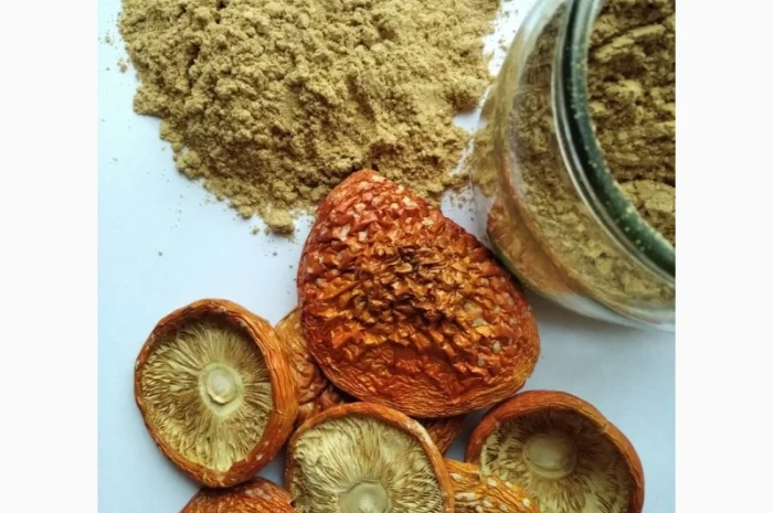 Шляпки мухомора червоного на продаж- фото № 1