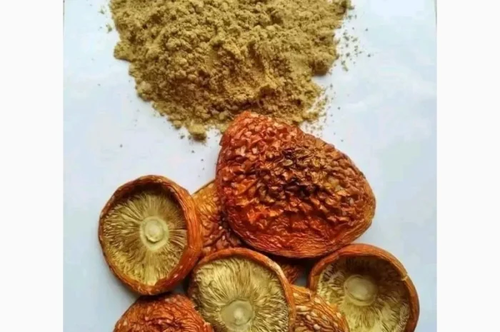 Мелений червоний мухомор в продажу- фото № 1