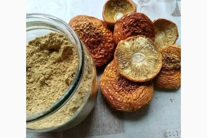 Мелений червоний мухомор в продажу- фото № 2