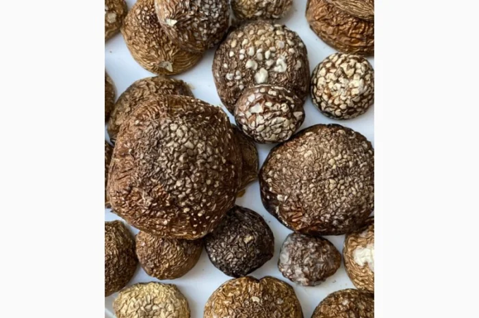 Пантерний мухомор висушений, очищений від піску- фото № 1