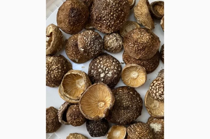 Пантерний мухомор висушений, очищений від піску- фото № 2