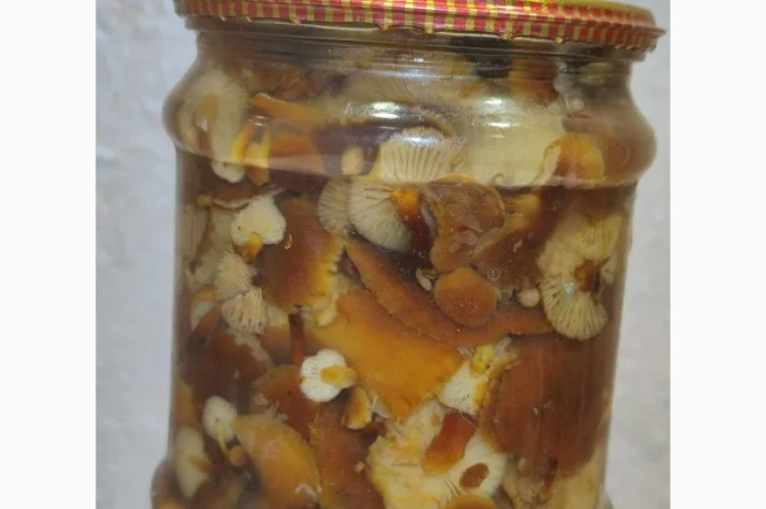 Продажа грибов фламуліну: сухі та мариновані- фото № 2