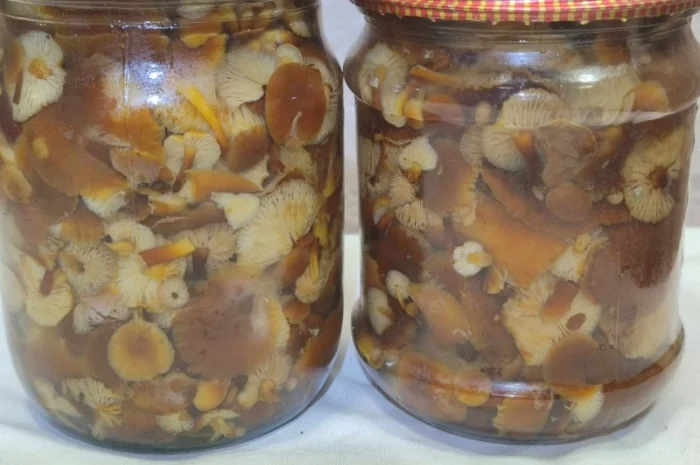 Продажа грибов фламуліну: сухі та мариновані- фото № 3