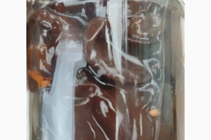 Гриб Иудино ухо сухой и маринованный на продажу- фото № 4