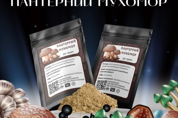 Мухомор Пантерний мелені шляпки- фото № 2