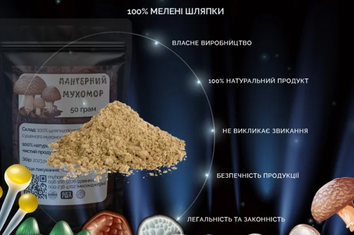 Мухомор Пантерний мелені шляпки- фото № 4