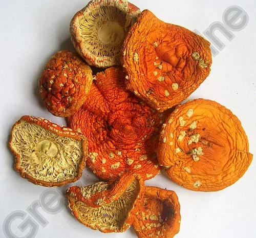 Продам сушені еко-мухомори- фото № 1